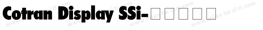 Cotran Display SSi字体转换